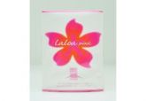 Laloa Pink 100ml- Feminino